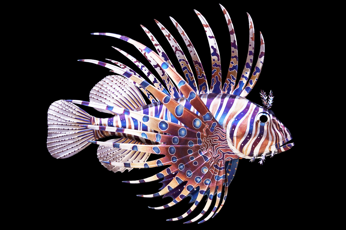 Metal Sculpture: Lionfish
